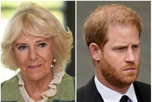 <p>Queen Consort Camilla and Prince Harry </p>