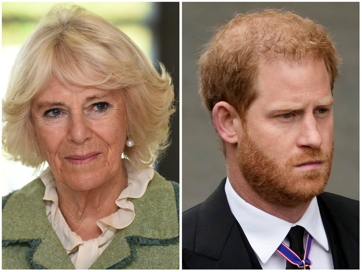 Prince Harry claims Camilla launched ‘campaign’ to marry his father