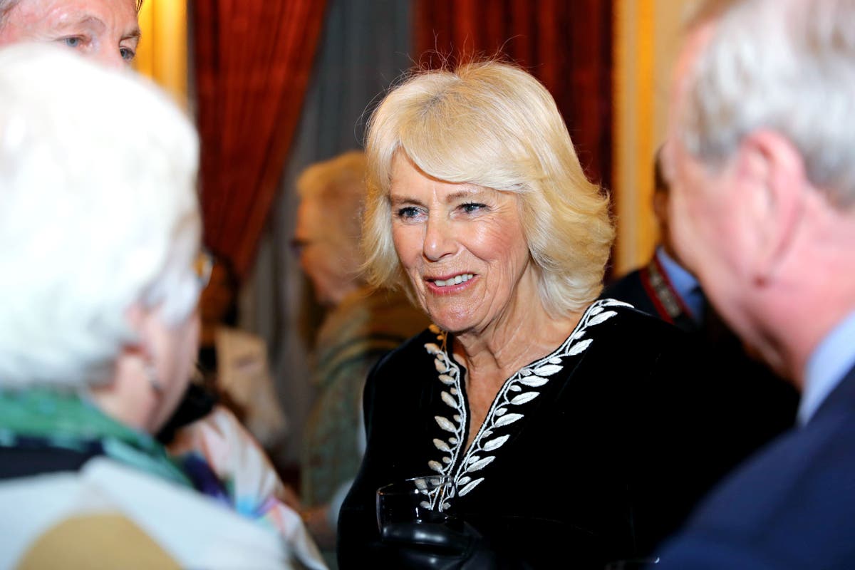 Harry labels Camilla &lsquo;the villain&rsquo; and &lsquo;dangerous&rsquo;