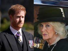 Camilla ‘hurt’ to be branded ‘villain’ by Prince Harry, friend claims