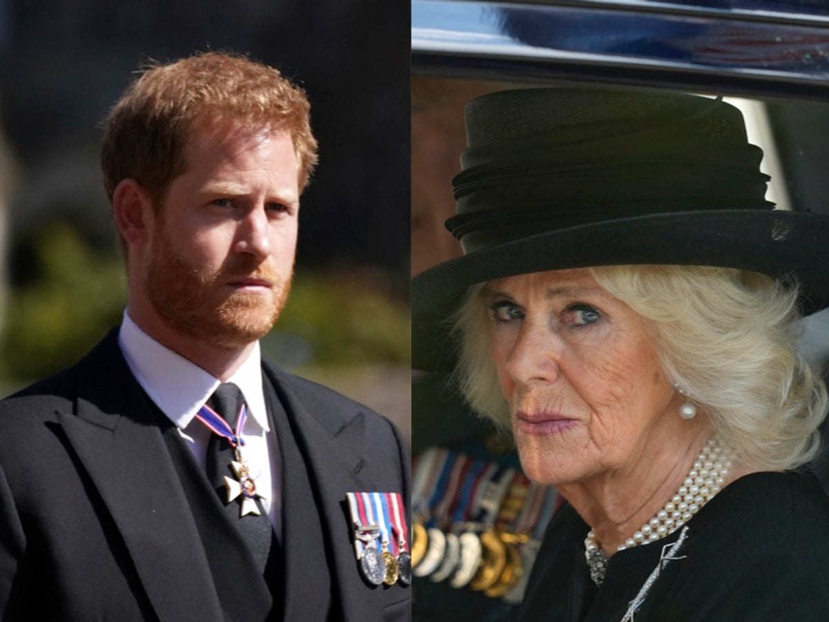 Camilla 'hurt' to be branded 'villain' by Prince Harry, friend claims | The  Independent