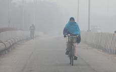 Delhi shivers under ‘long cold wave spell’ as thick fog hits flight and railway services