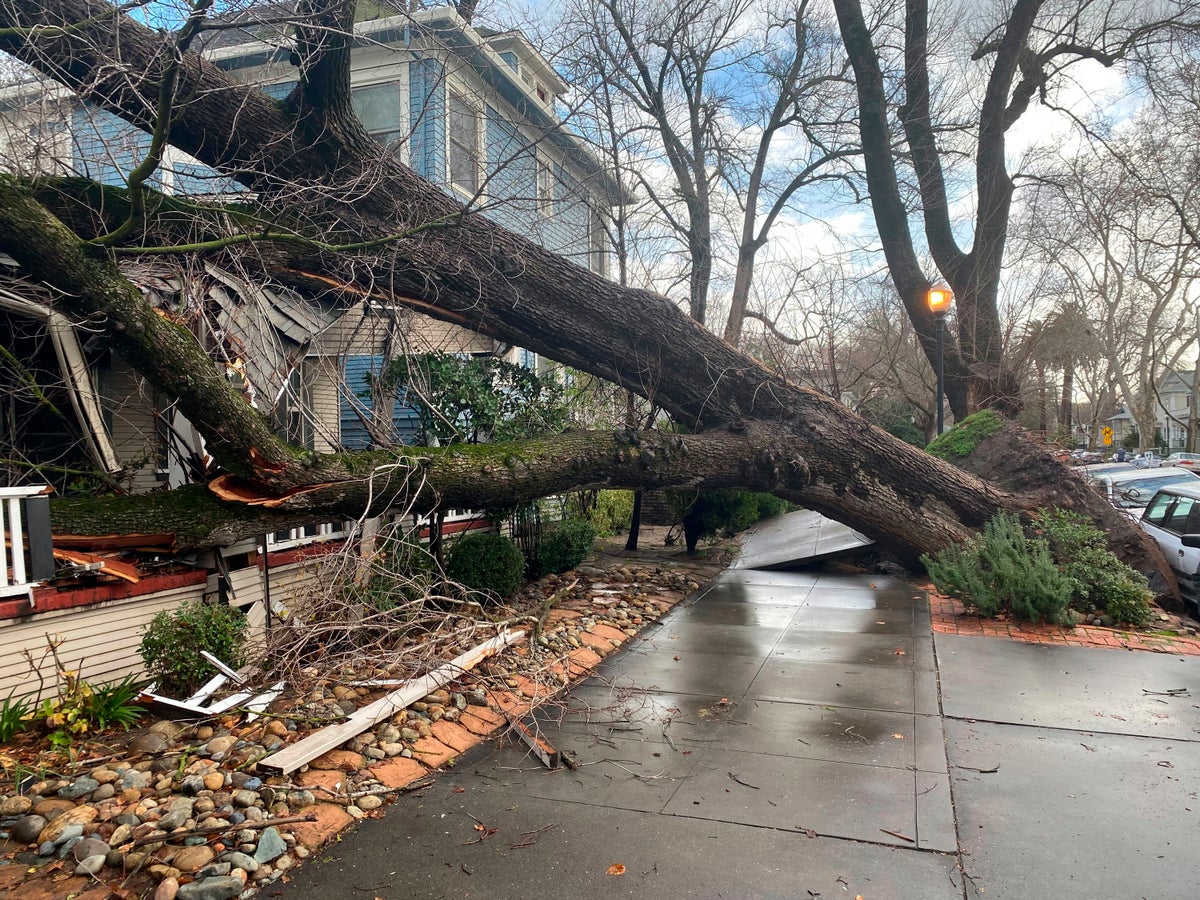 Sacramento's iconic tree canopy turns destructive in storms