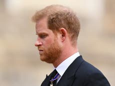 Prince Harry condemns ‘dangerous lie’ that he ‘boasted’ about Taliban kills 