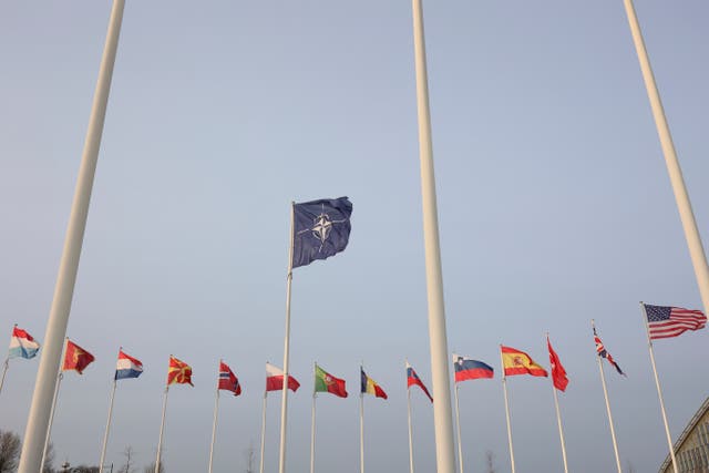 Belgium NATO Cooperation
