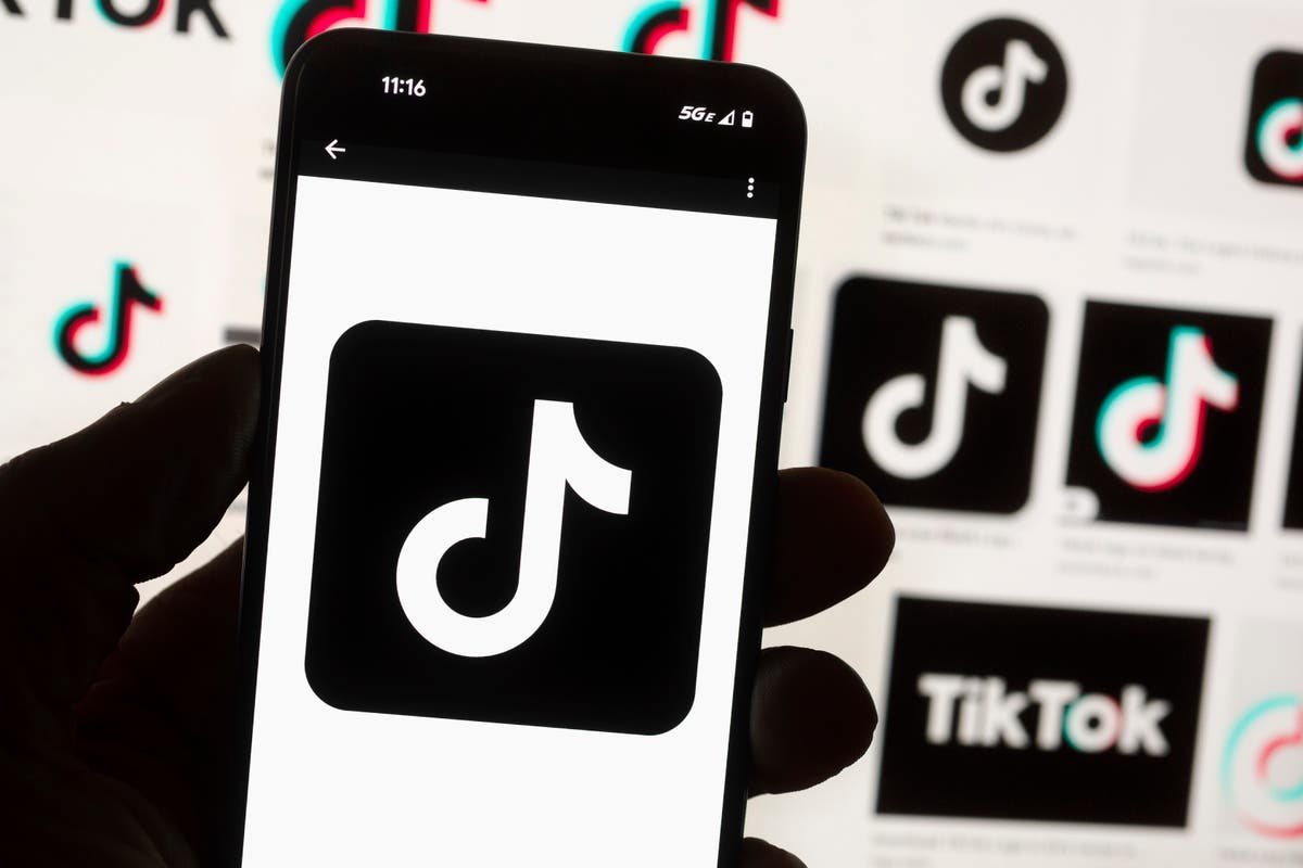 TikTok boss meets European officials as scrutiny intensifies