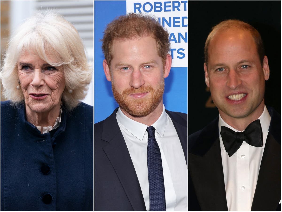 The Bee, the Fly and the Wasp: All of the codenames and nicknames used by Prince Harry in Spare