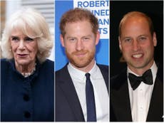 The Bee, the Fly and the Wasp: All of the codenames and nicknames used by Prince Harry in Spare