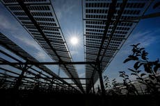 Korean firm plans $2.5B in new solar panel plants in Georgia