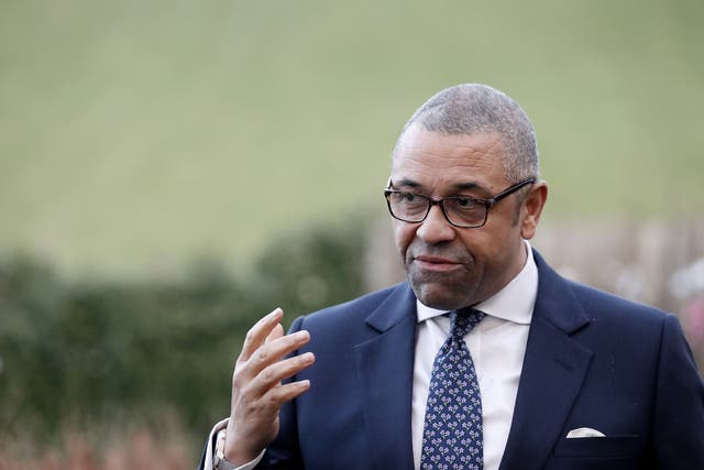 <p>James Cleverly has called for Alireza Akbari to be released </p>