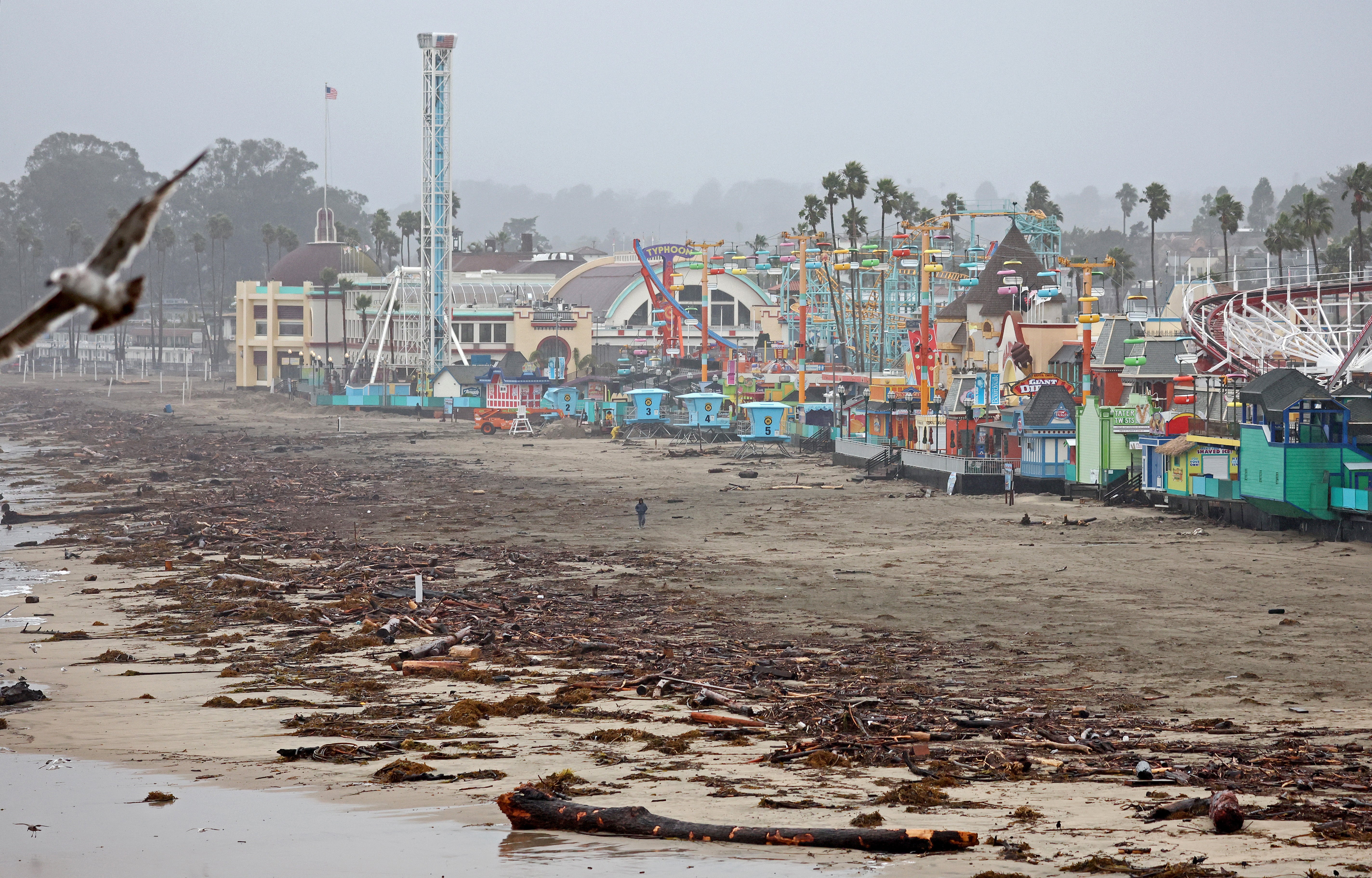 A lone person walks near driftwood storm debris washed up in front of the Santa Cruz Beach Boardwalk amusement park on January 11