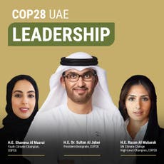 New Cop28 president is CEO of oil company