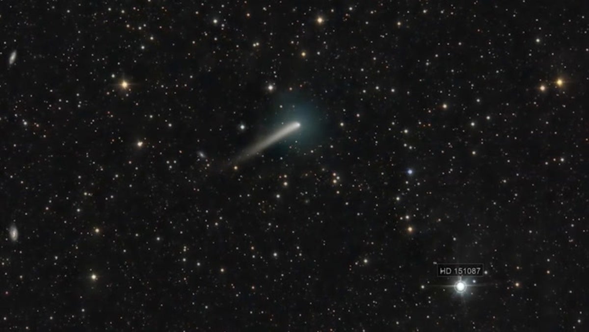 Nasa says rare green comet will make first appearance in 50,000 years on Thursday