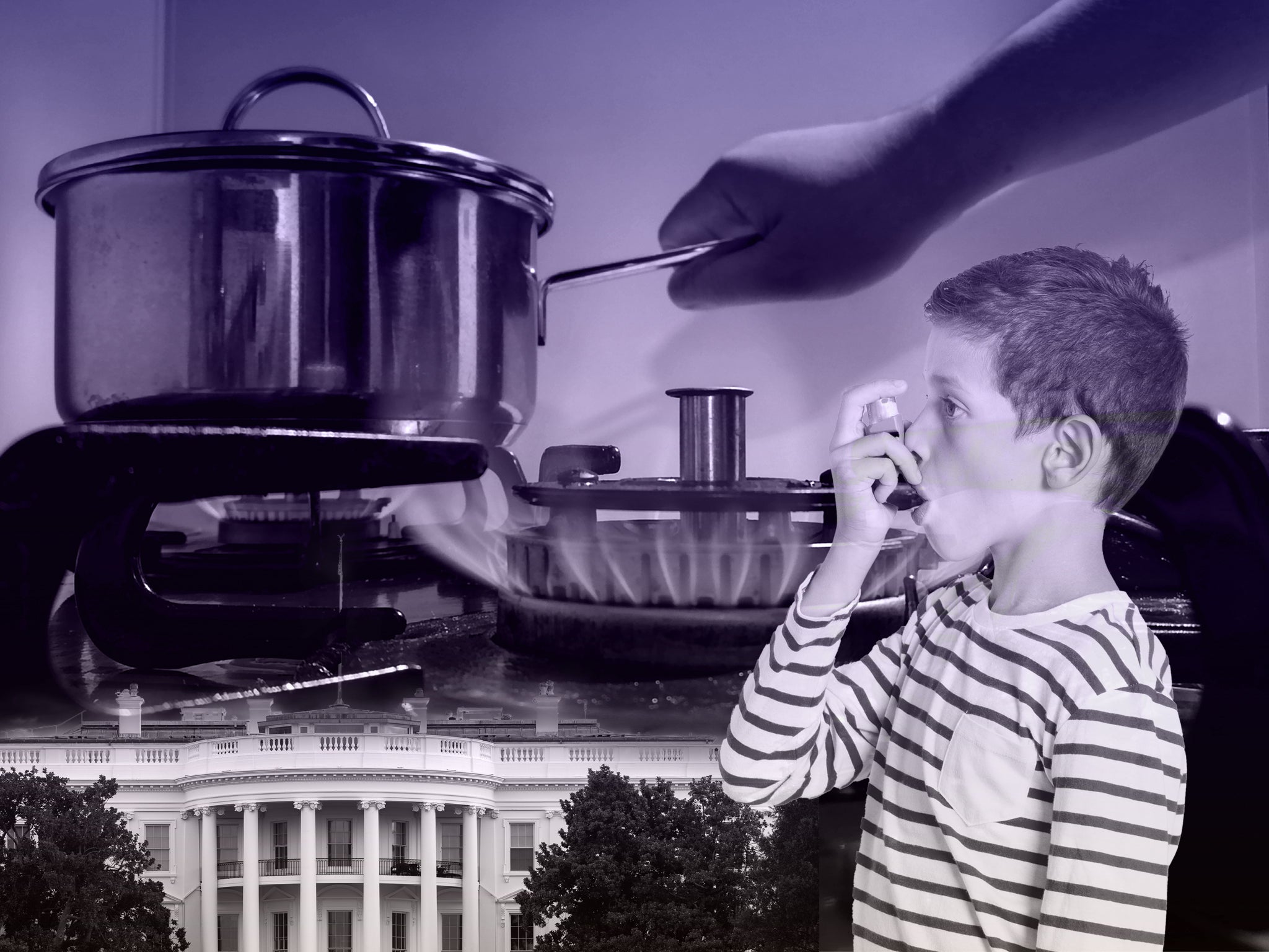How gas stoves became part of America's culture wars