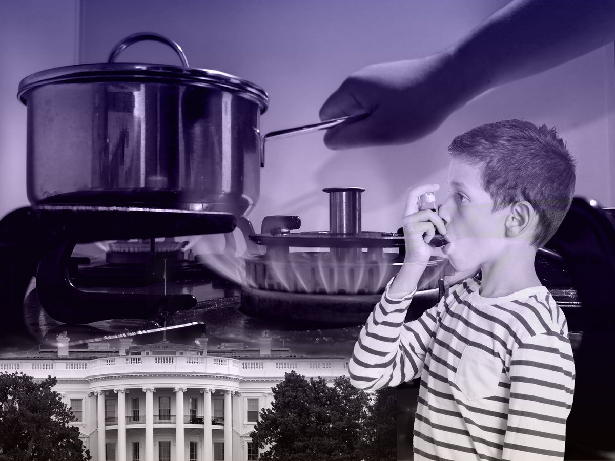 How the gas stove became the newest player in the Republican culture war