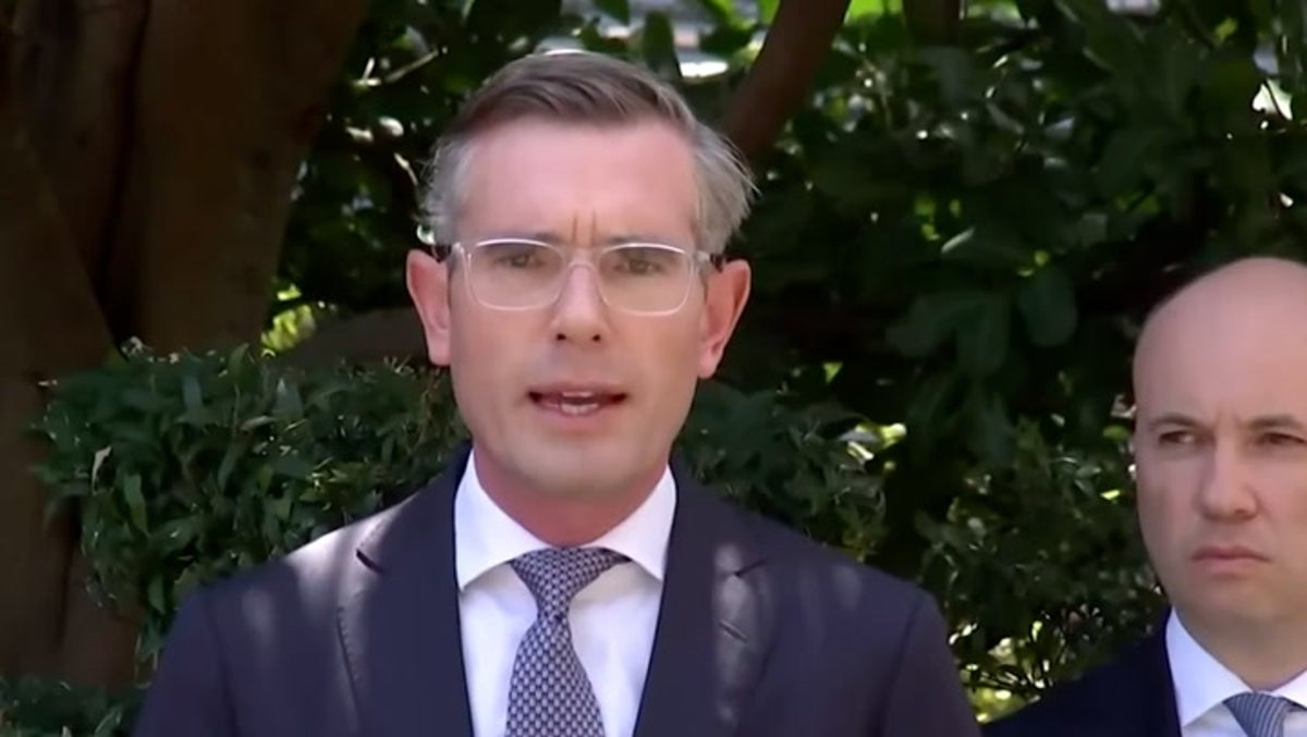 Senior Australian politician apologises over 21st birthday Nazi uniform scandal