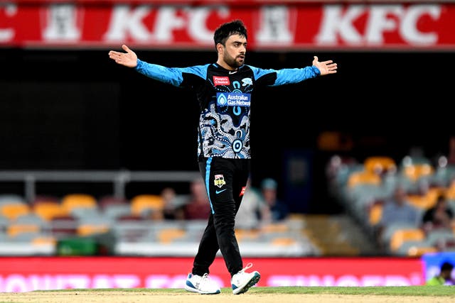 <p>Rashid Khan was ‘really disappointed’ by Cricket Australia’s withdrawal from the series</p>