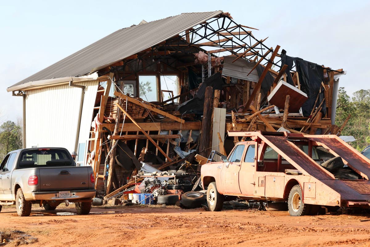 &lsquo;Powerful&rsquo; tornado damages buildings and uproots trees in Alabama