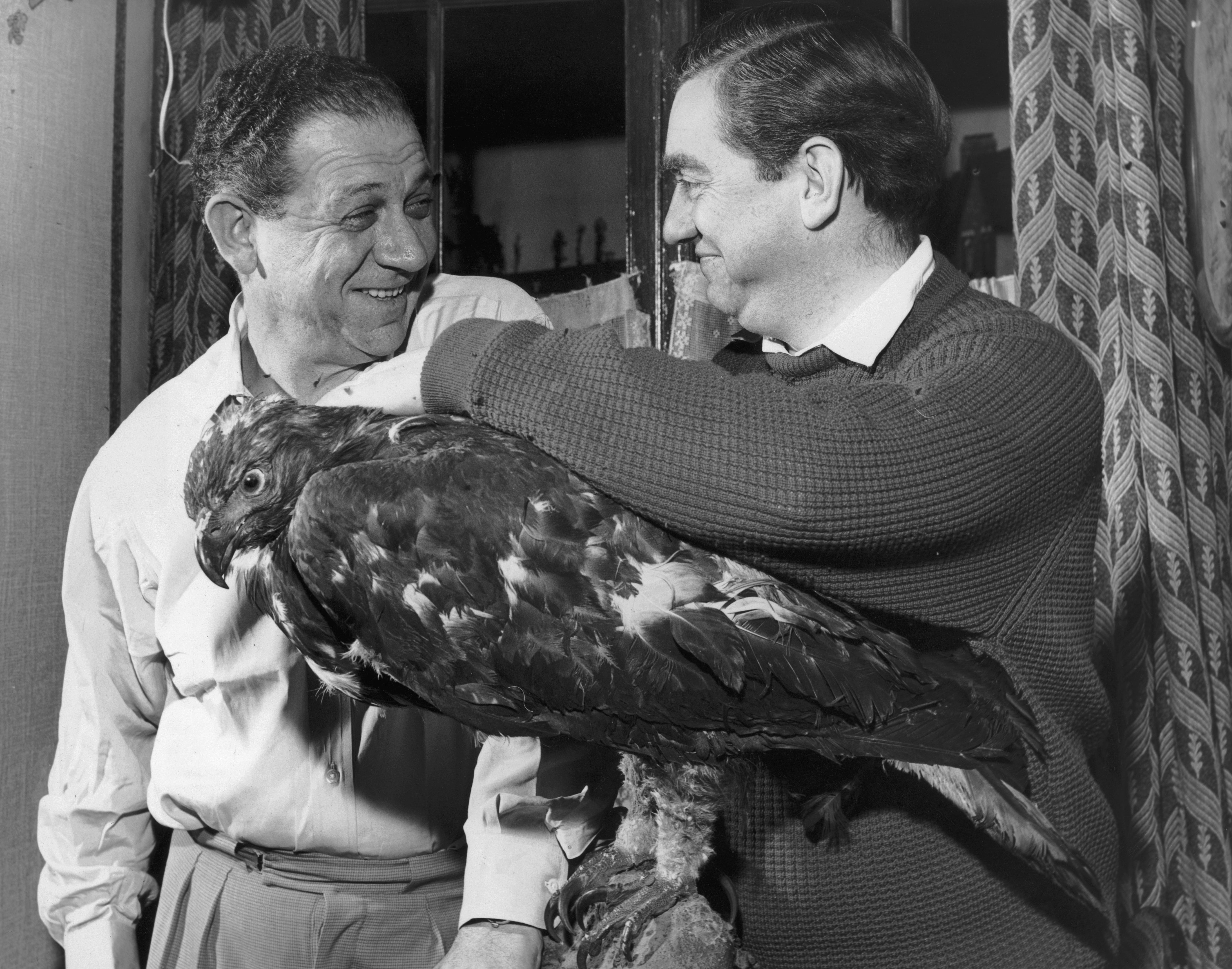 In 1960, Hancock split from his long-term screen partner Sid James