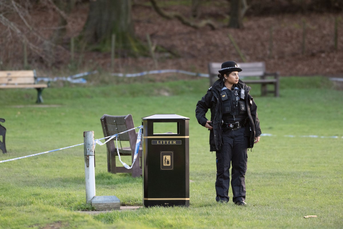 Caterham dog attack: Woman in 20s dies and second in hospital as police ...