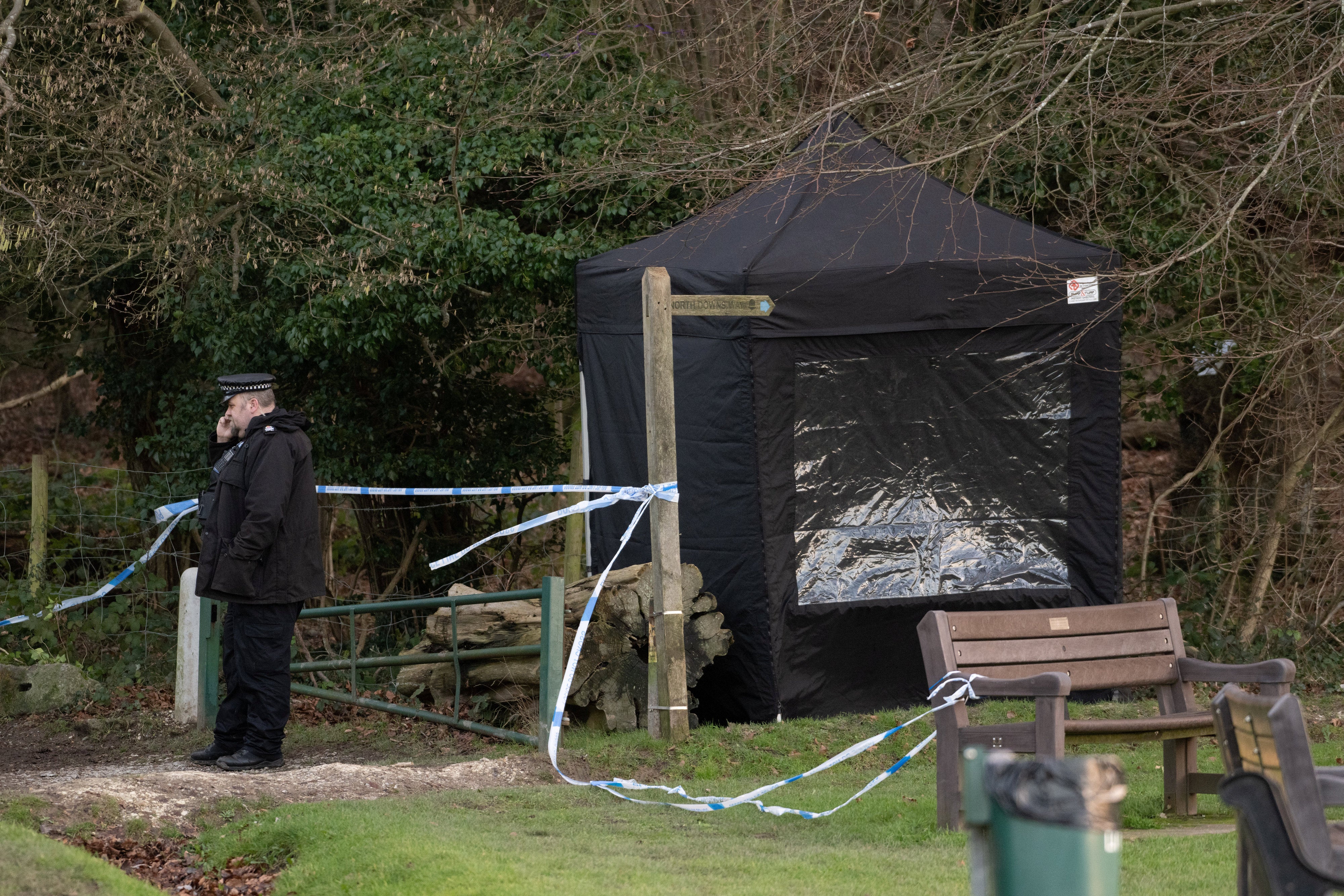 Caterham dog attack: Woman in 20s dies and second in hospital as police ...