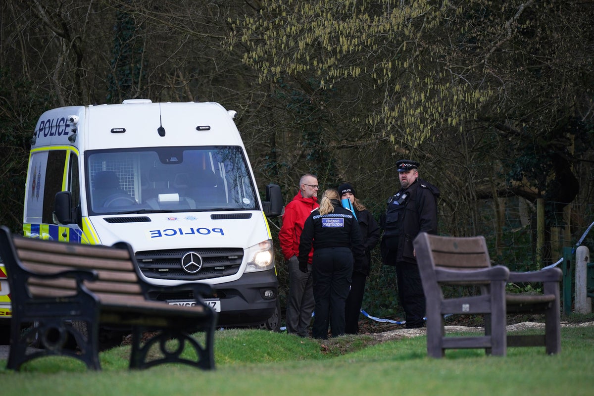 Woman killed in dog attack was walking number of dogs, police say | The ...