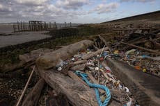 Single-use plastic plates and cutlery to be banned from October in England