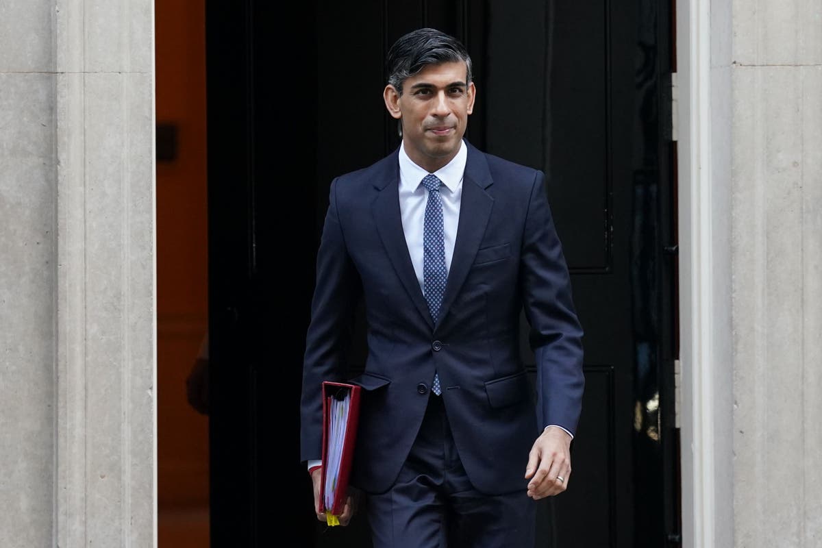 Rishi Sunak condemns &lsquo;cowardly&rsquo; execution of British-Iranian Alireza Akbari