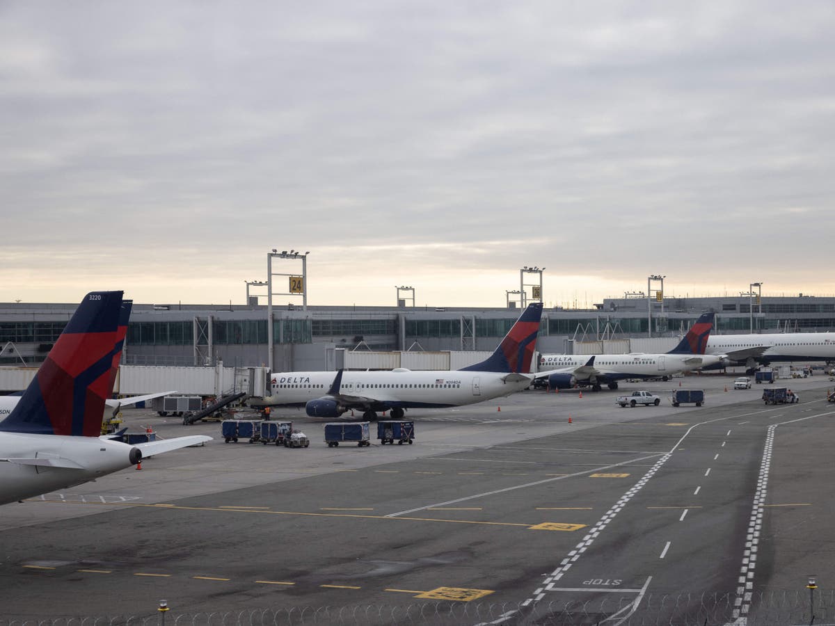 The escapee jackrabbits of JFK airport