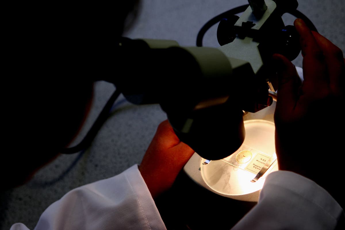 &pound;47.5 million funding boost for experimental cancer treatments