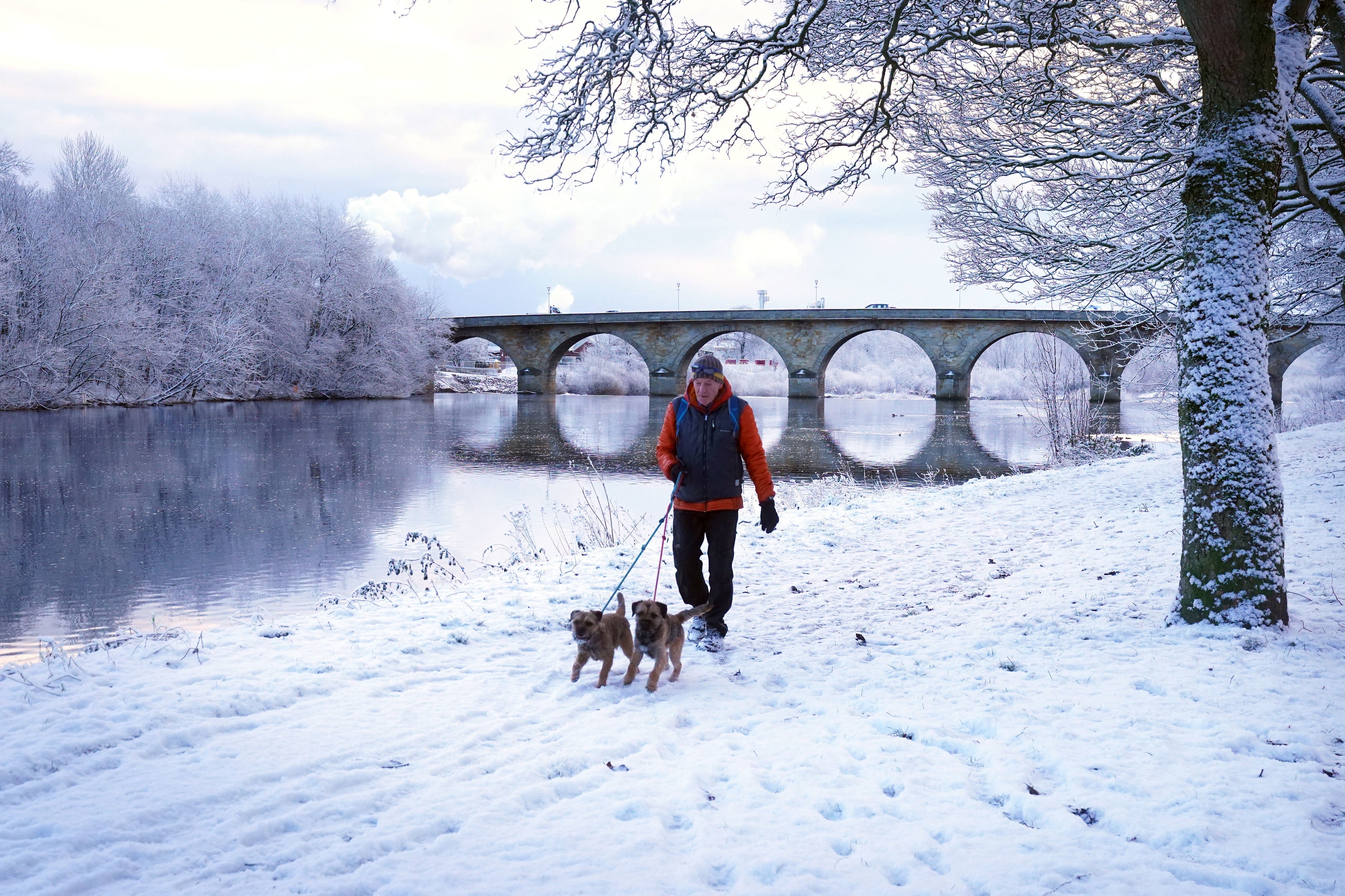 A man walks dogs in snowy conditions in a park in Hexham. The wintry condition in Hexham look set to continue for a number of days.