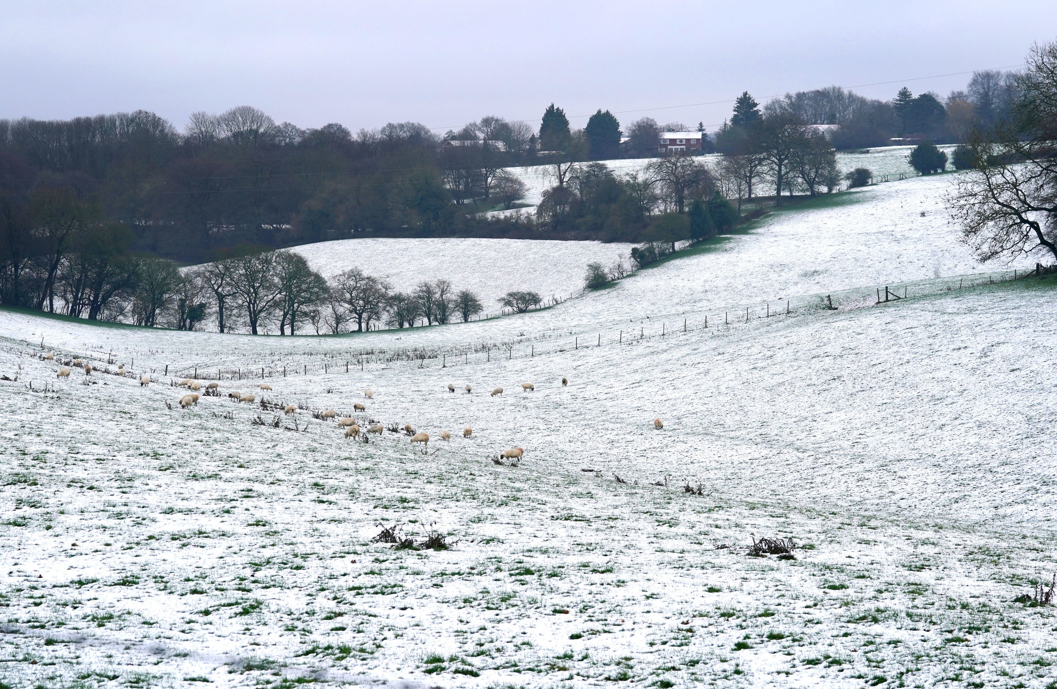 White blankets of snow look picturesque amid subzero temperatures