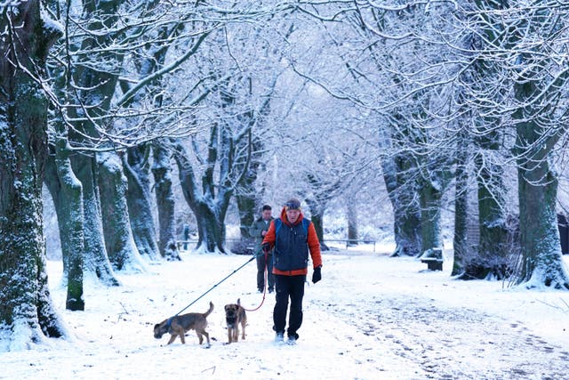 A man walks dogs in snowy conditions in a park in Hexham (Owen Humphreys/PA)