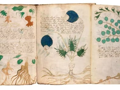 The Voynich manuscript