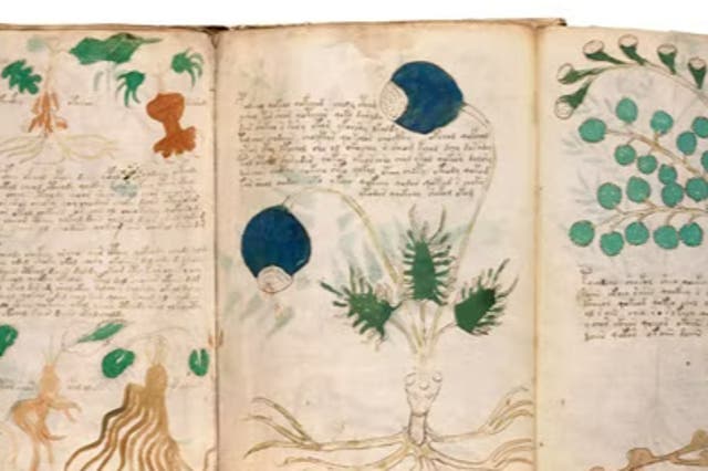 <p>The Voynich manuscript</p>