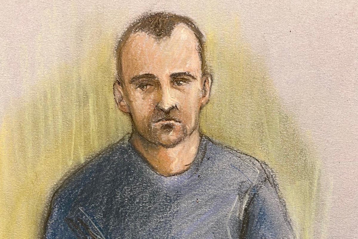 Met boss apologises for &lsquo;horrific&rsquo; failures as officer revealed as serial rapist