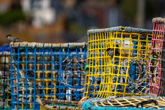 Empty fishing nets (Steve Parsons/PA)