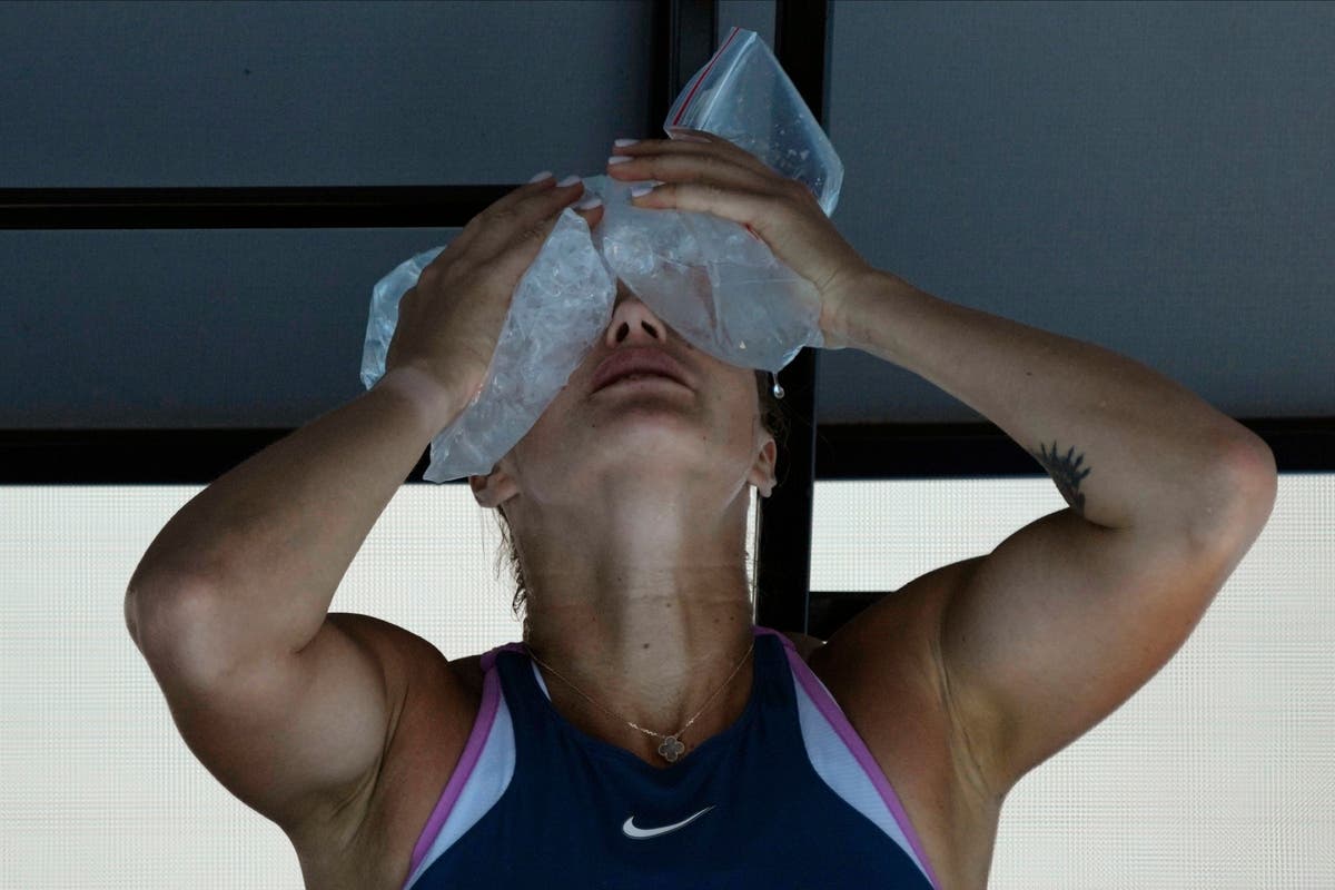 Play suspended for three hours at Australian Open due to extreme heat
