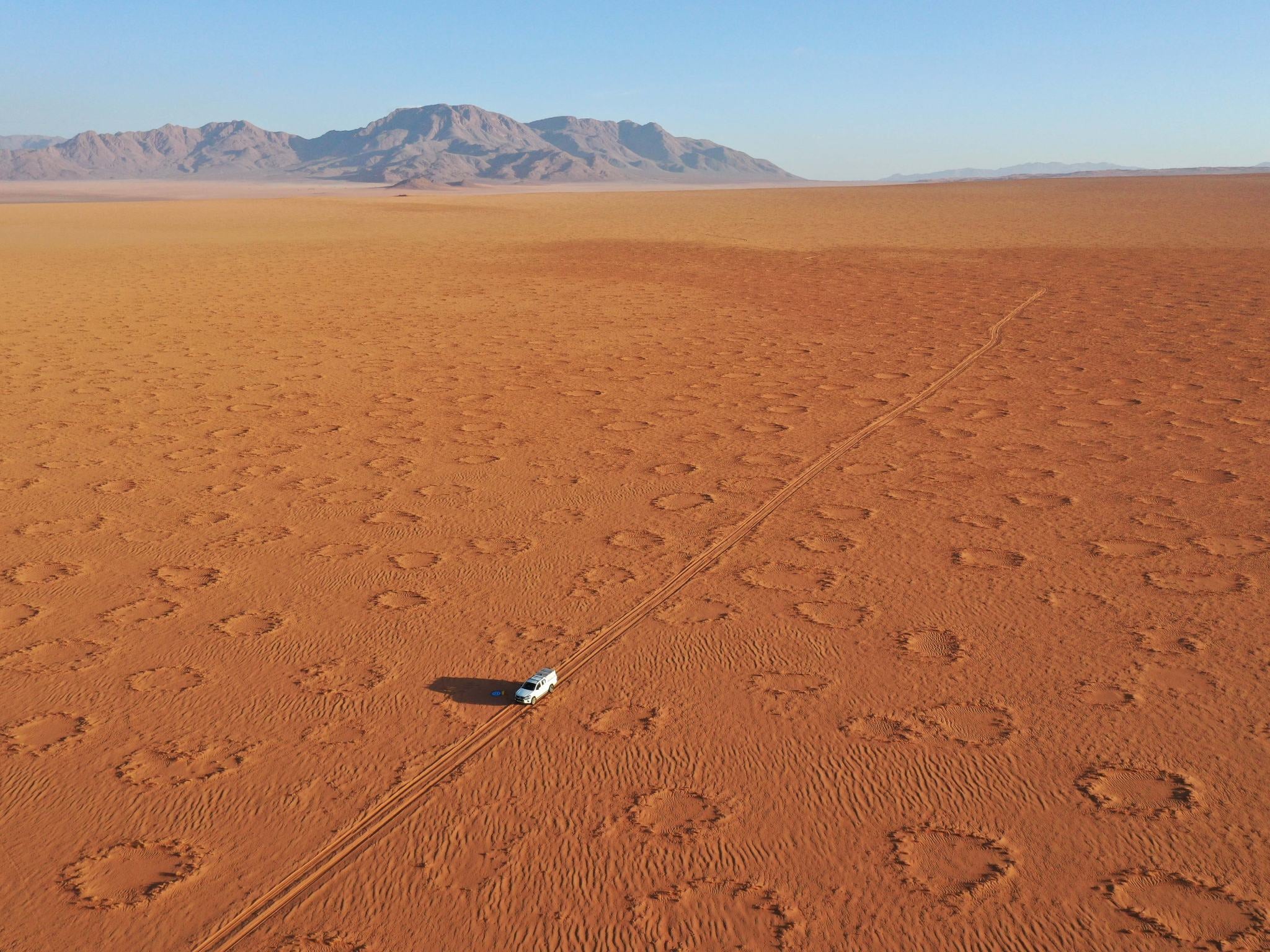 There could be millions of these shapes across Namibia’s desert