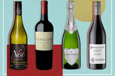 The 15 best vegan wines to toast all things plant-based