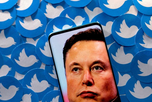 <p>Musk targeted the app with the aim of restoring ‘free speech’ </p>