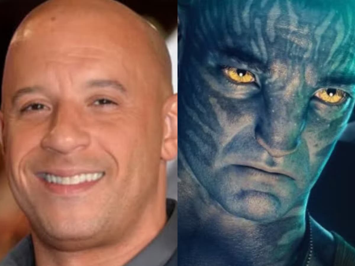 ‘Vin is a fan’: Avatar producer rules out Vin Diesel starring in sequels