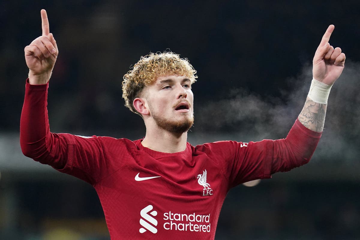 Liverpool set up Brighton date with narrow win at Wolves