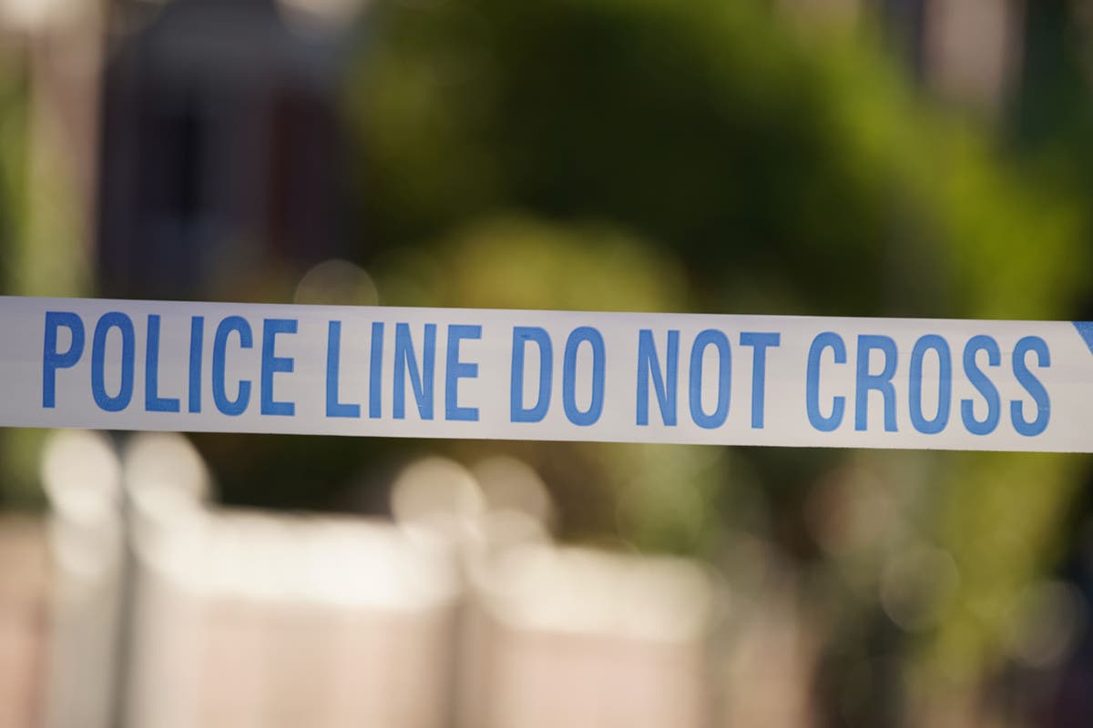 Police searching for two suspects after &lsquo;brazen&rsquo; targeted fatal stabbing