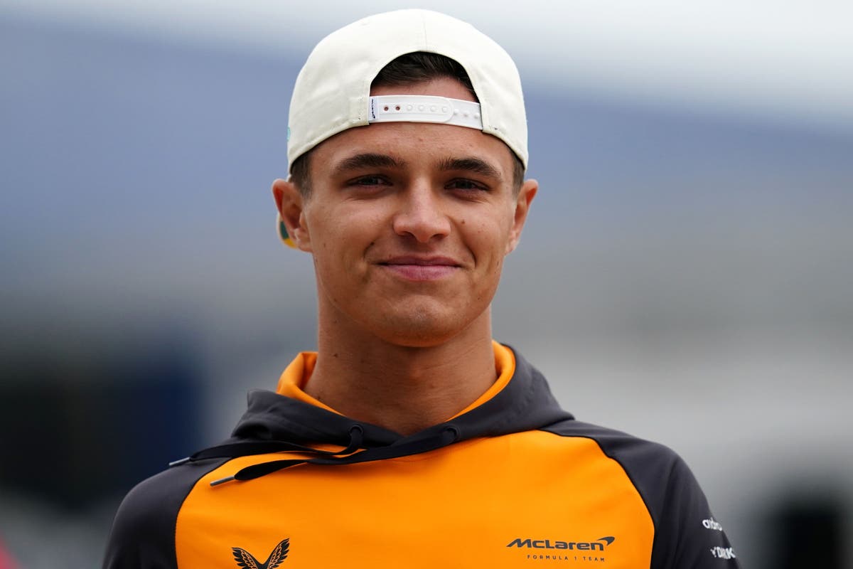 F1 driver Lando Norris saved lives opening up about mental health ...