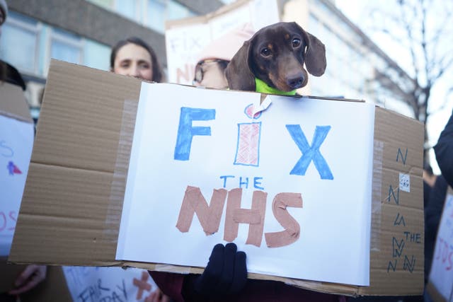A member of the Royal College of Nursing holds a dog on the picket line outside King’s College Hospital (PA)
