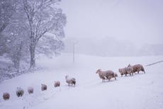 Farmer ferries nurses to patients due to icy roads