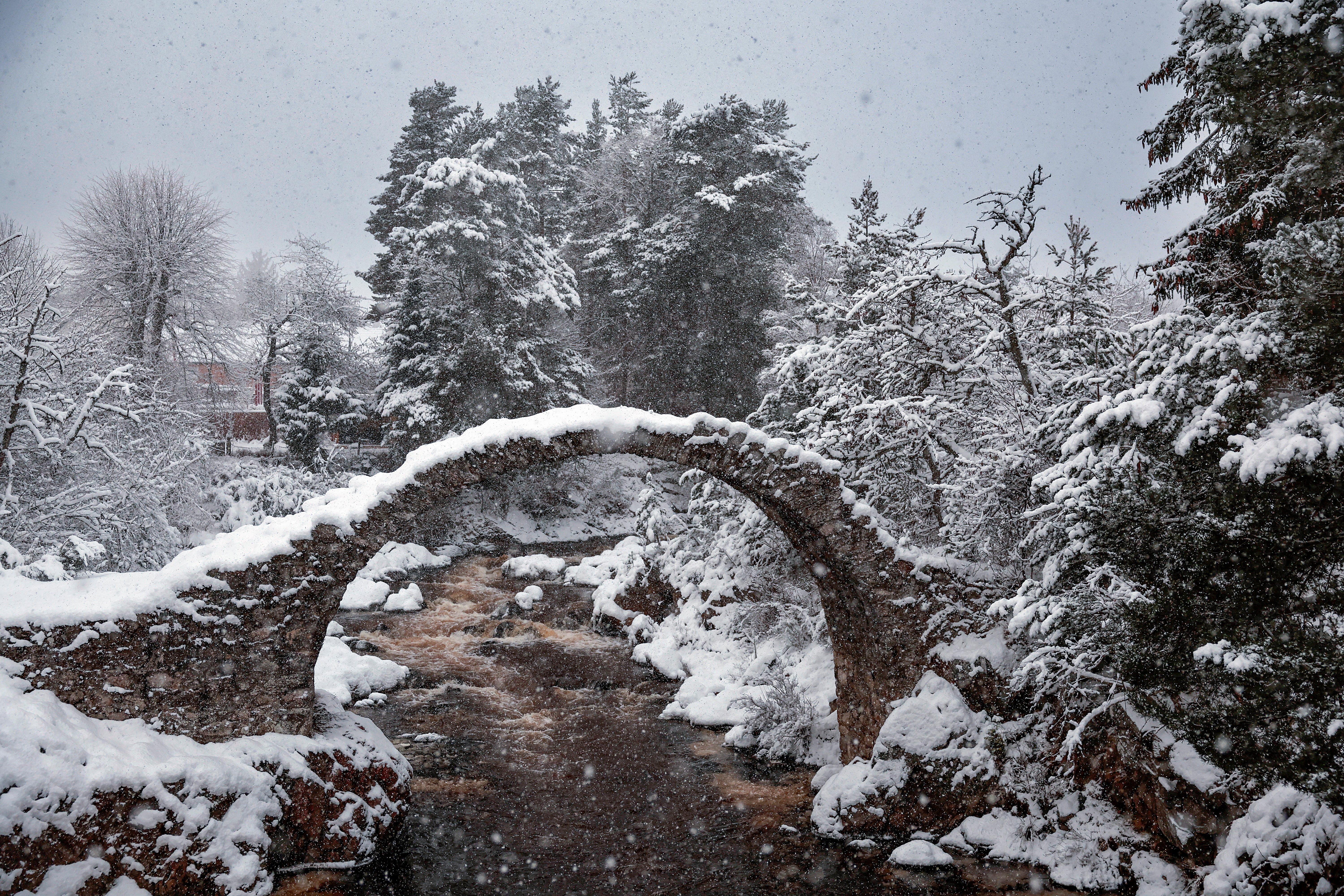 Snow falls over Old Pack Horse Bridge in Carrbridge in the Highlands