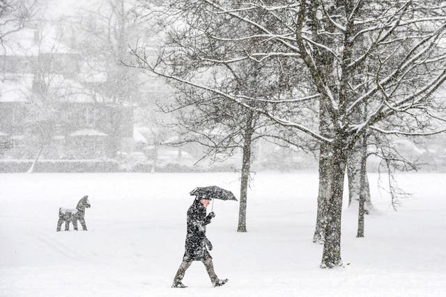 <p>A member of the public walks through the snow in Victoria Park in Glasgow on February 9, 2021</p>