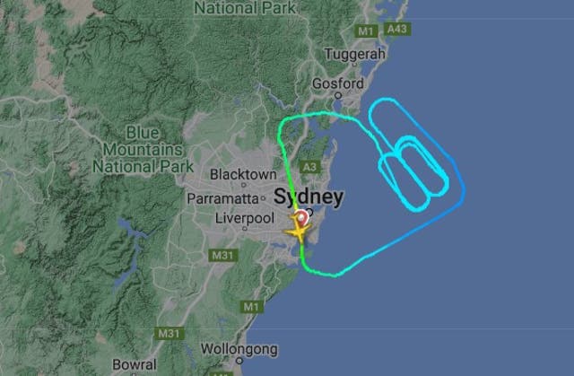 <p>Passengers sat for two hours as the plane circled close to Sydney</p>